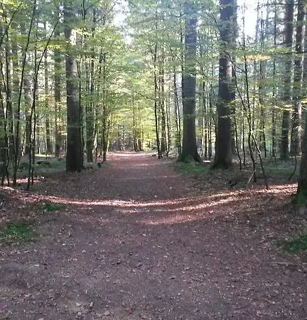 Waldferienhof Am Nationalpark Apartment