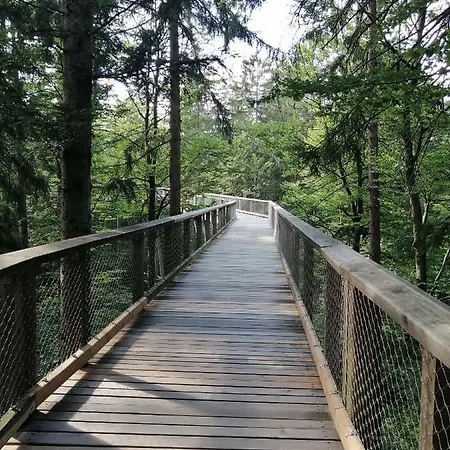 Waldferienhof Am Nationalpark