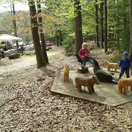 Waldferienhof Am Nationalpark