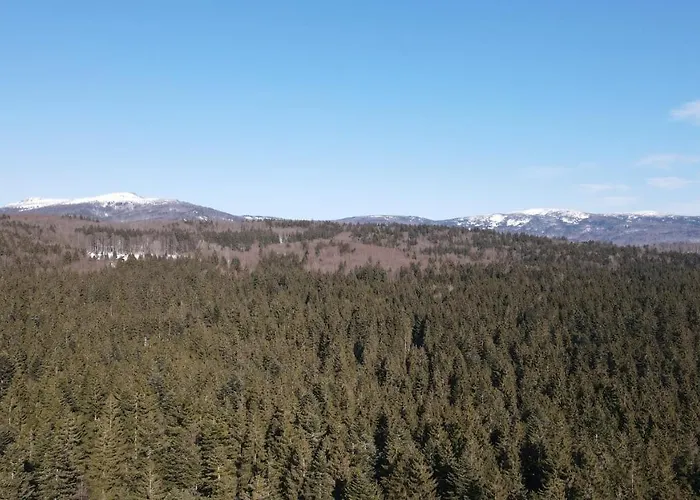 شقة Waldferienhof Am Nationalpark شبيغيلاو