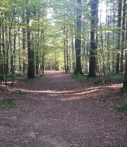 Waldferienhof Am Nationalpark شقة