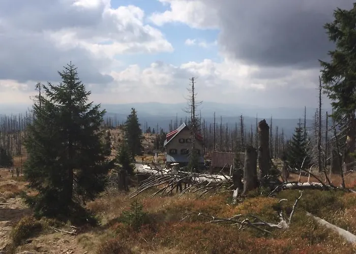 Waldferienhof Am Nationalpark شبيغيلاو