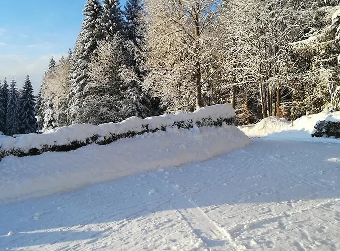Waldferienhof Am Nationalpark * شبيغيلاو