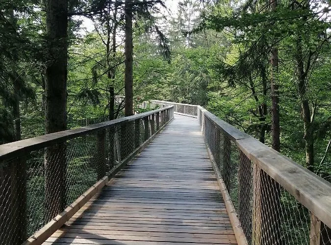 Waldferienhof Am Nationalpark